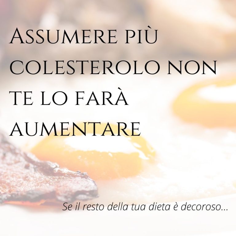 Scopri di più sull'articolo Il colesterolo plasmatico è refrattario a quello che si introduce